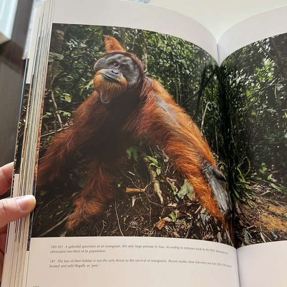 Hard Cover Book, large collection coffee table book, travel sights countries - Picture 6 of 13